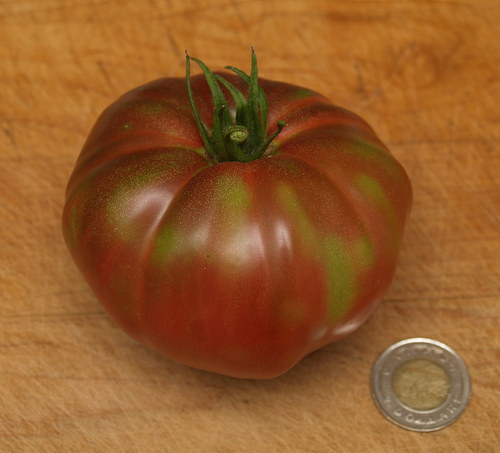 Black Sea Man Tomato