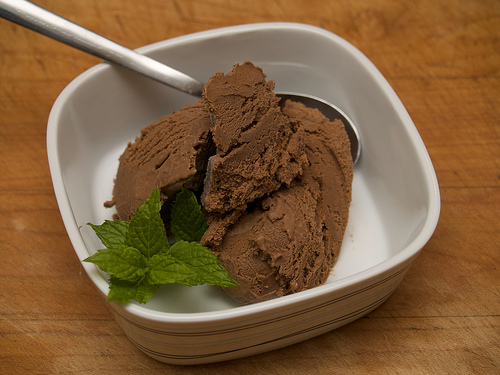 Mexican Chocolate & Chili Ice Cream