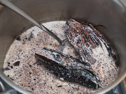 Mexican Chocolate & Chili Ice Cream