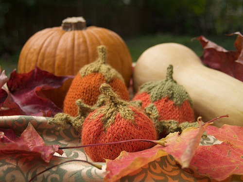 Knitted Pumpkin Patch