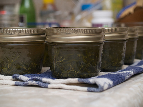 White Wine & Herb Jelly White Wine & Herb Jelly