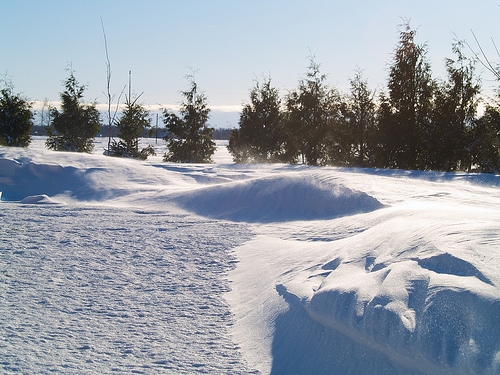 Winter at the Farm