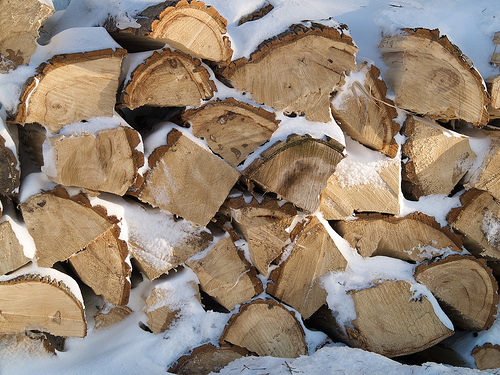 Wintery wood pile