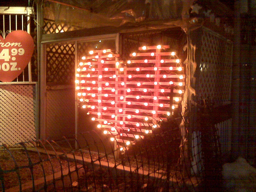 Flower shop near Bedford Park entrance to Lawrence Subway Station Valentine lights