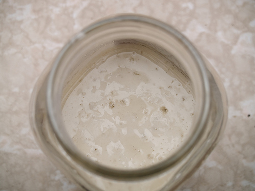 Attempted sourdough starter