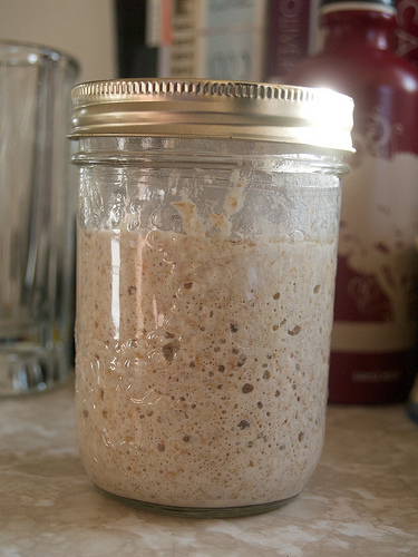 Frothy sourdough starter Sourdough starter success
