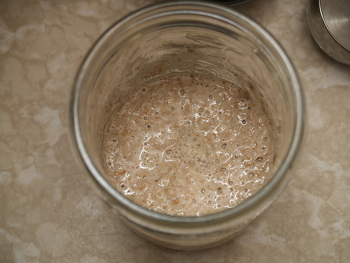 Happy, active sourdough starter Sourdough starter success
