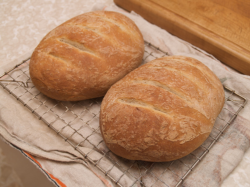 Sourdough loaf cheat Sourdough cheat
