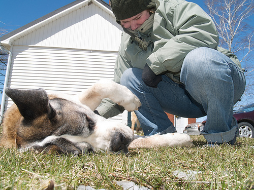 Belly rubs at the farm Zeus and me