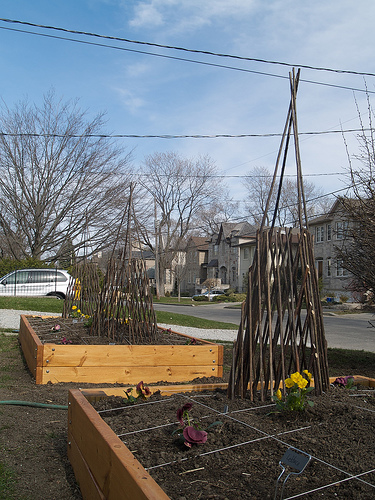 Planting raised beds