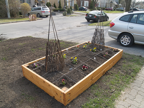 Planting raised beds
