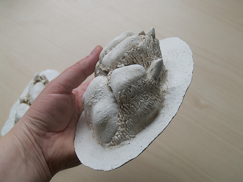 Side view Casting Zeus's paws
