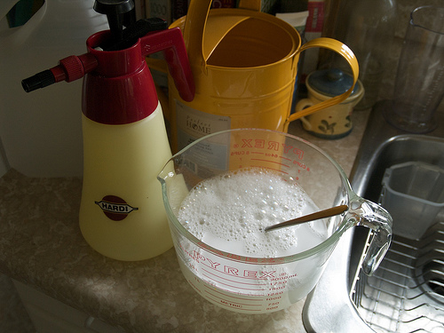 Homemade natural herbicide Eco-friendly Weed Killer