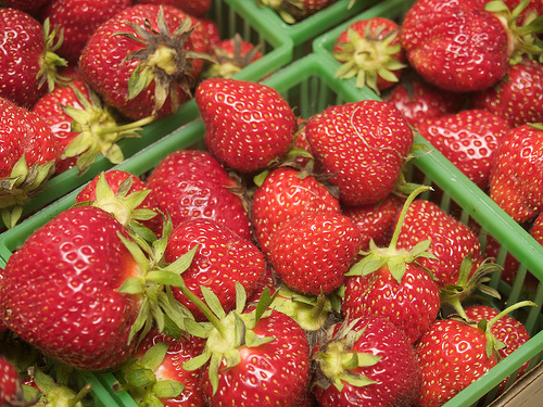 Fresh Ontario Strawberries!