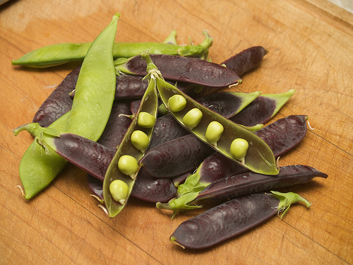 Capuchijners Blue Pea Capuchijners Peas