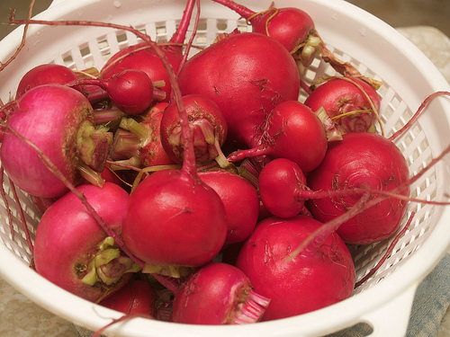 Chioggia Beets