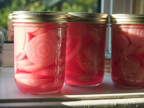 Pickled Chioggia Beets