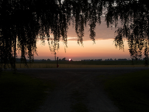Summer sunset at the farm