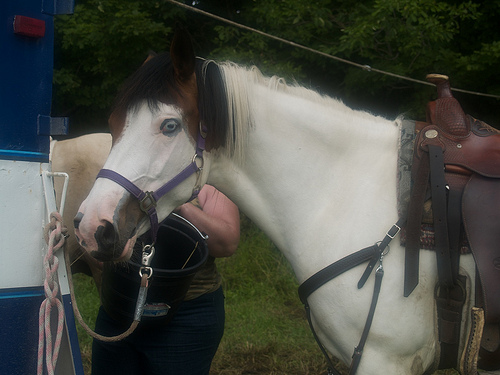 5-Day Ride - Crazy Eye Ellie