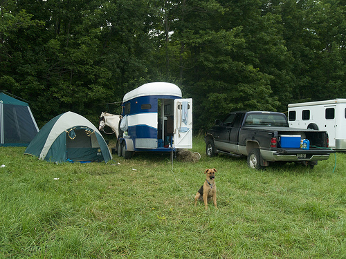 Our camp, with our "guard dog" Lola 5-Day Ride - our camp
