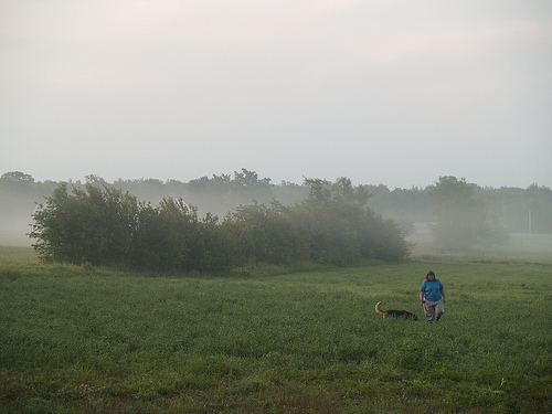 Leanne walking Lola in the mist 5-Day Ride - misty morning