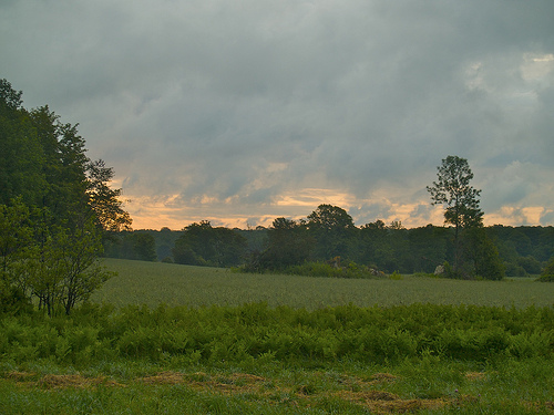 5-Day Ride - sunrise after the rain