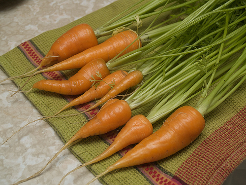 More Chantenay carrots Chantenay Carrots