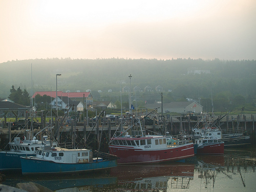 Alma, just outside Fundy National Park