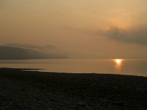 Bay of Fundy, at dawn