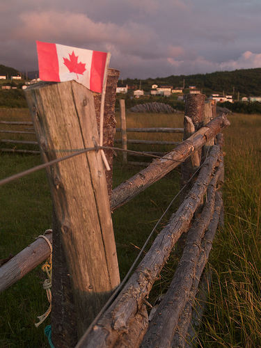 Eastern Point Trail, Trout River