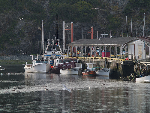 Exploring Trout River