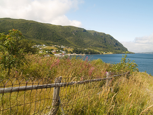 Woody Point, Nfld.