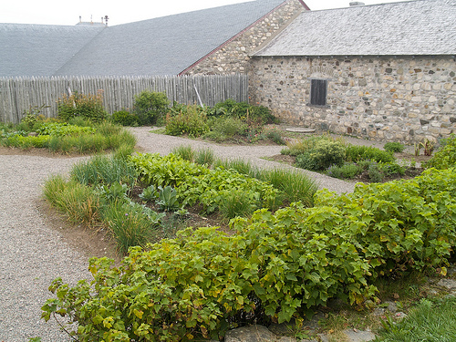 Fortress of Louisbourg potager