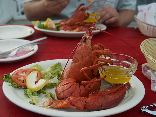 Lobster Supper!