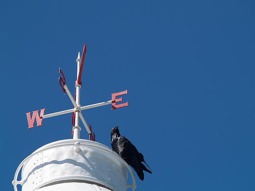 Lobster Cove lighthouse, and a raven