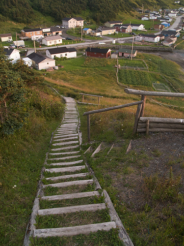 Stairs leading back down to Trout River Eastern Point Trail, Trout River