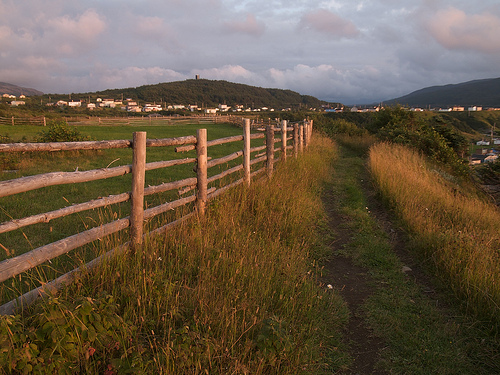 Eastern Point Trail, Trout River