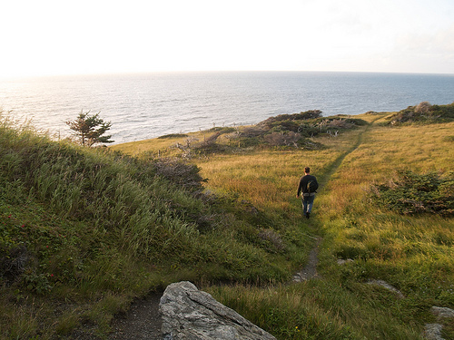 Eastern Point trail, Trout River Eastern Point Trail, Trout River