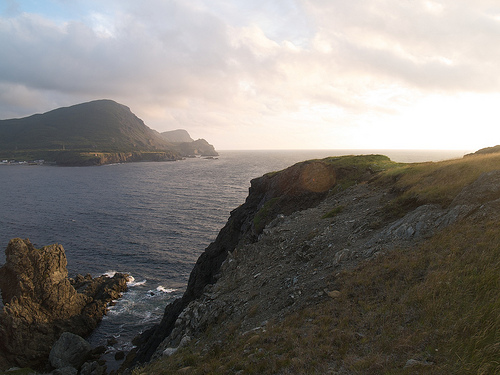 Eastern Point Trail, Trout River