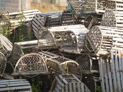 Lobster traps in Trout River Exploring Trout River