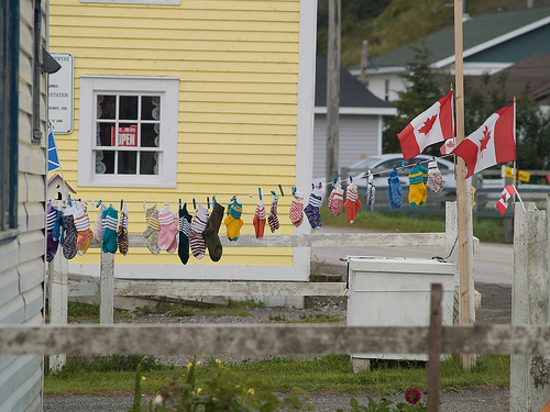 Socks for Sale in Trout River