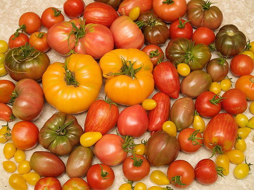 Heirloom tomatoes