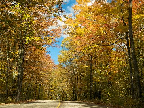 Thanksgiving weekend, Haliburton Highlands