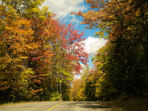 Thanksgiving weekend, Haliburton Highlands