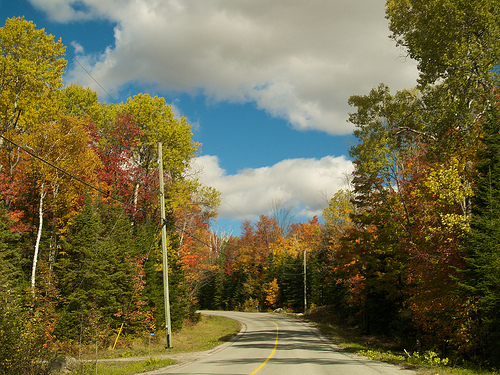 Thanksgiving weekend, Haliburton Highlands