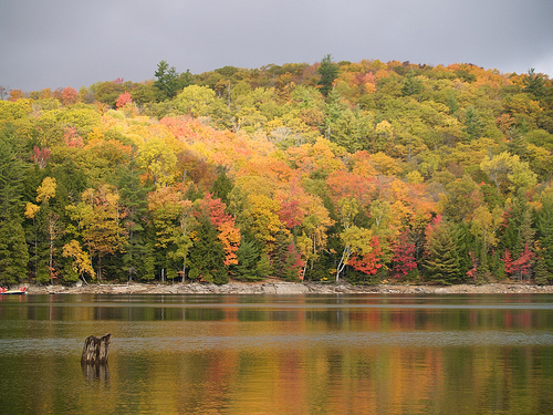View from our cottage Thanksgiving Wknd at the Cottage