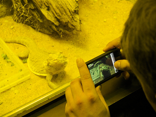 Chris with his iPhone and a Bearded Dragon Calvin's B-Day at the Zoo