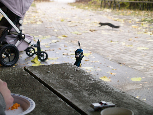 They keep the seagulls at bay but are just as bad Calvin's B-Day at the Zoo