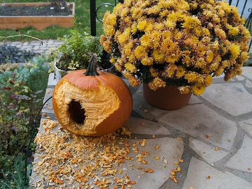 Pumpkin massacre Pumpkin massacre