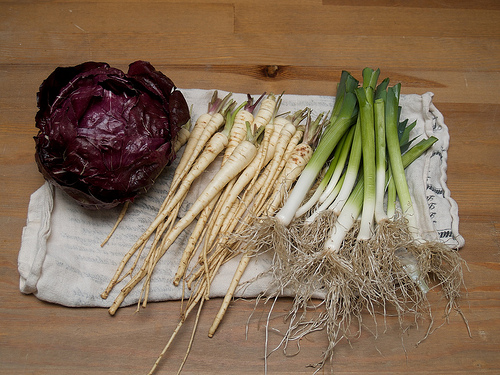 Radicchio, parsnips and leeks from my garden